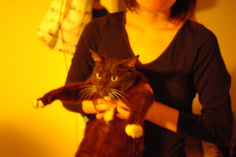 f:id:elseed:20100119032031j:image