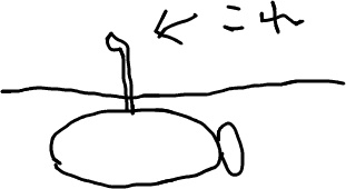f:id:elve:20110130223652j:image f:id:elve:20110130223652j:image