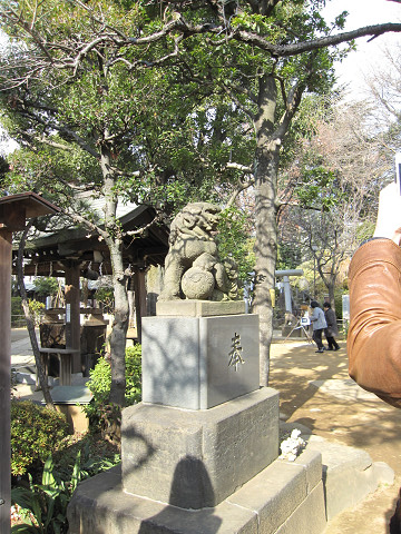 f:id:elve:20120101115828j:image:w400