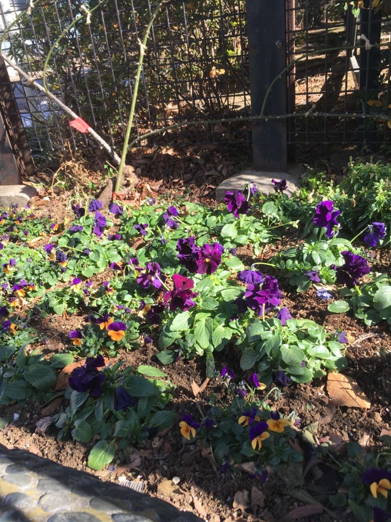 f:id:elve:20180127221457j:plain:w200