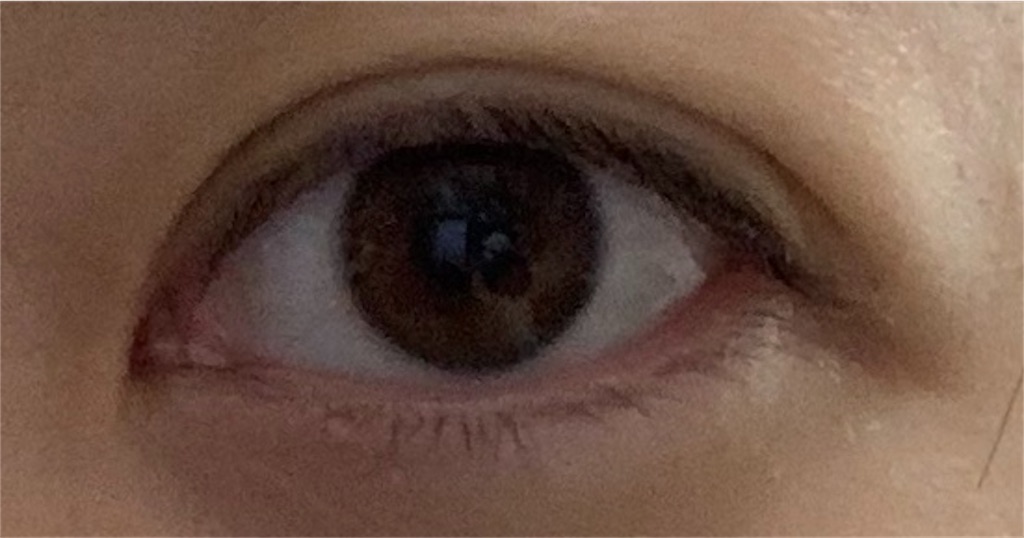 f:id:elve:20190129181446j:image:w200 f:id:elve:20190129181446j:image:w200