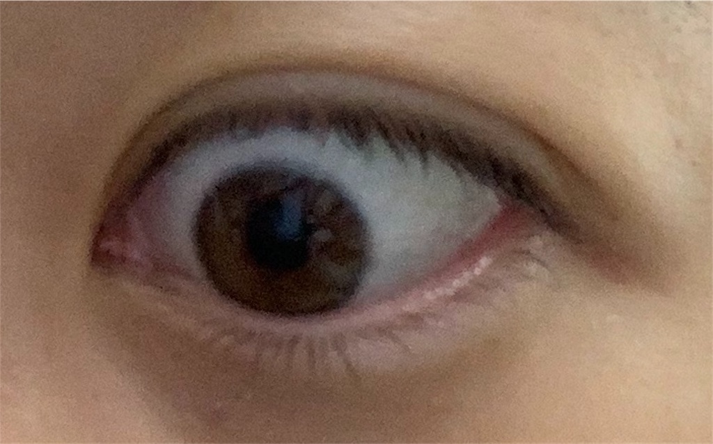 f:id:elve:20190129181644j:image:w200 f:id:elve:20190129181644j:image:w200