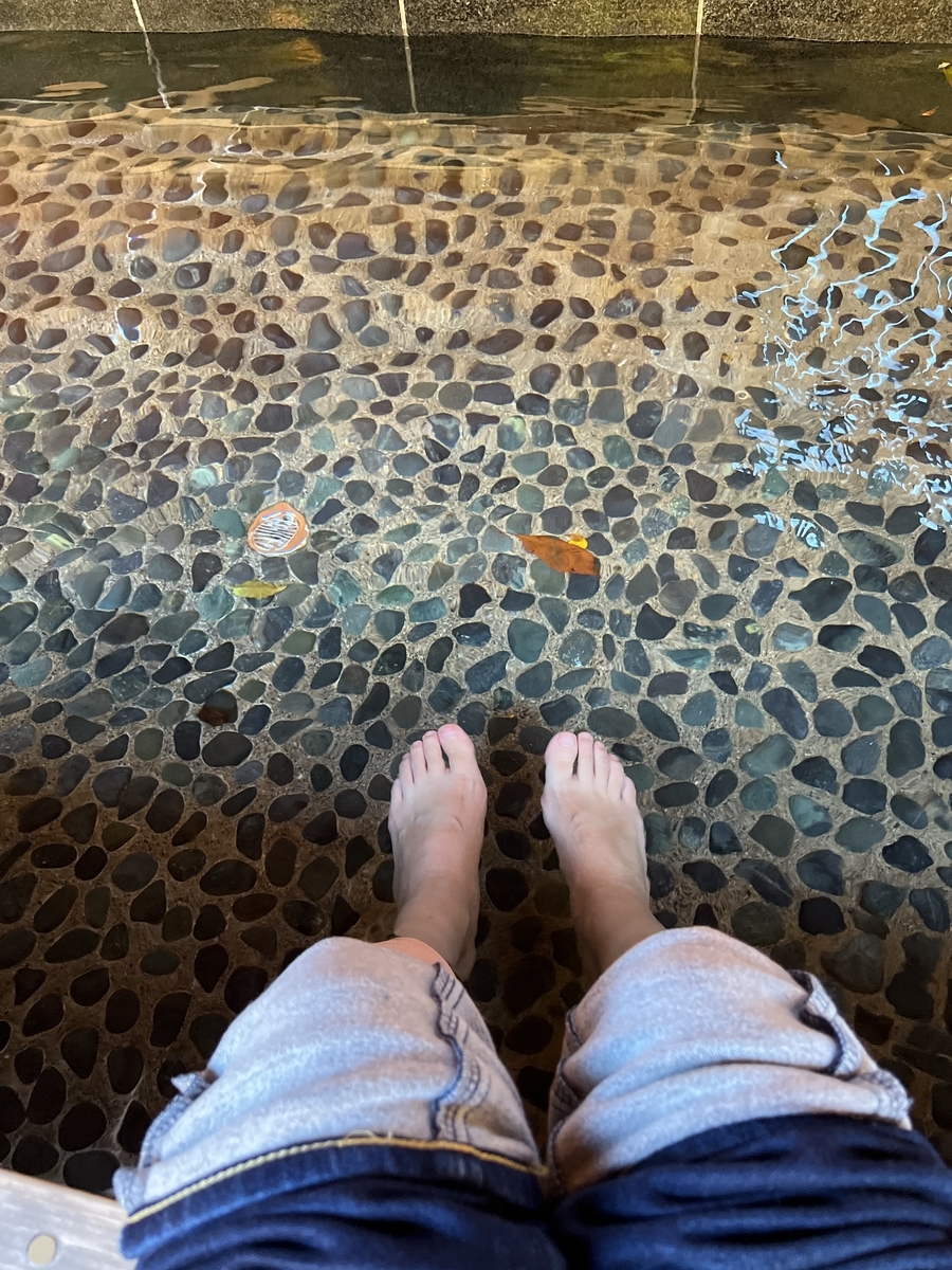 f:id:elve:20211031094037j:plain