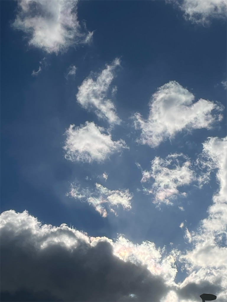 f:id:em1110:20240125064434j:image