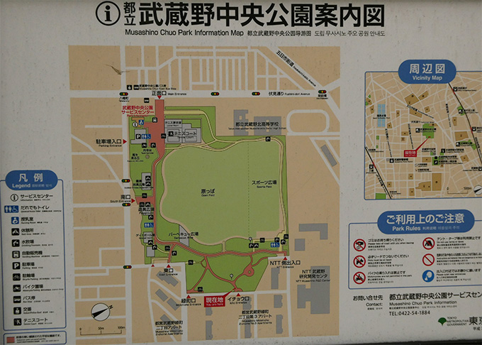 武蔵野市】植生を大切に守っている武蔵野中央公園に行きました