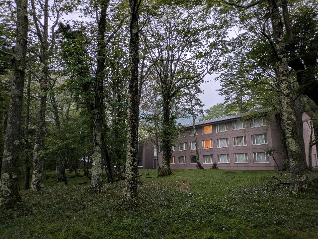 f:id:em378794:20241011233053j:image