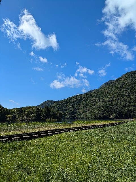 f:id:em378794:20241012001822j:image