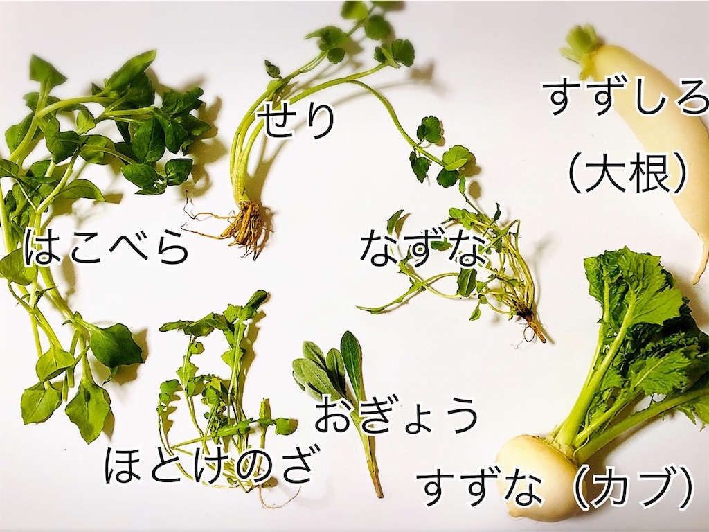 f:id:ema-s-life:20200218214113j:image