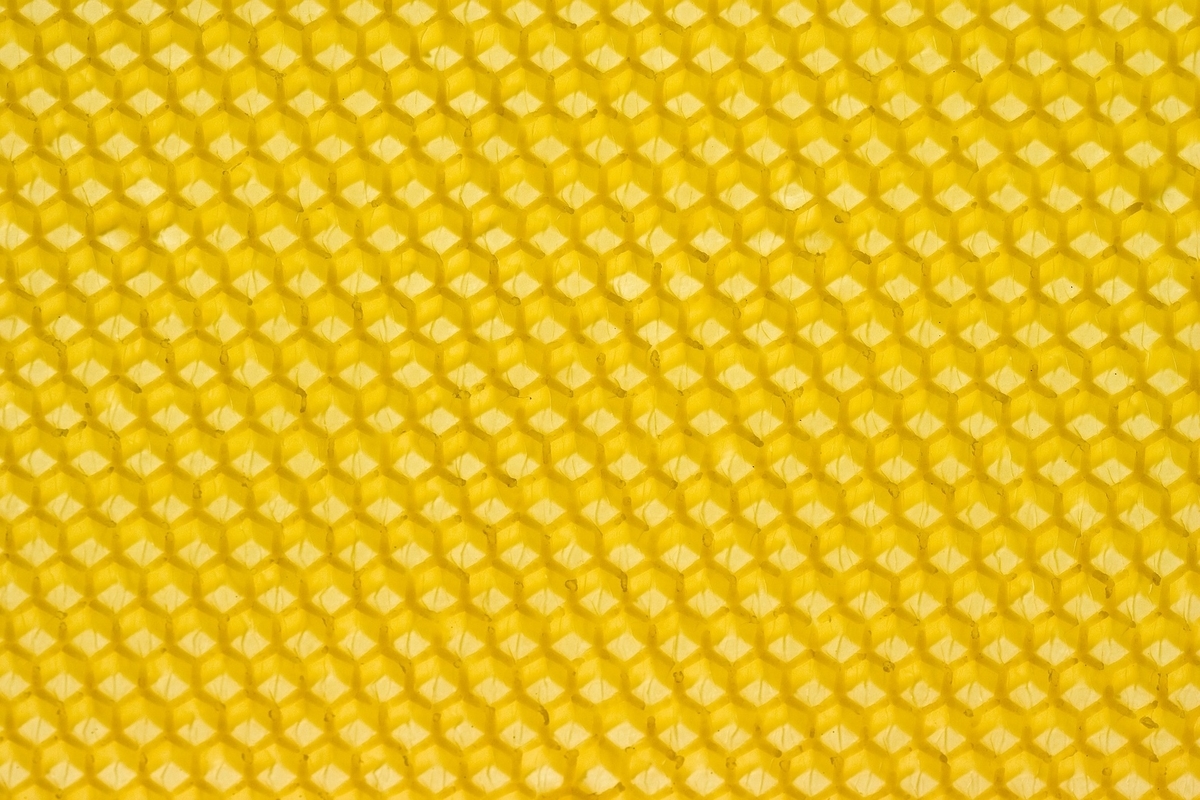 f:id:ema-s-life:20201012215643j:plain f:id:ema-s-life:20201012215643j:plain