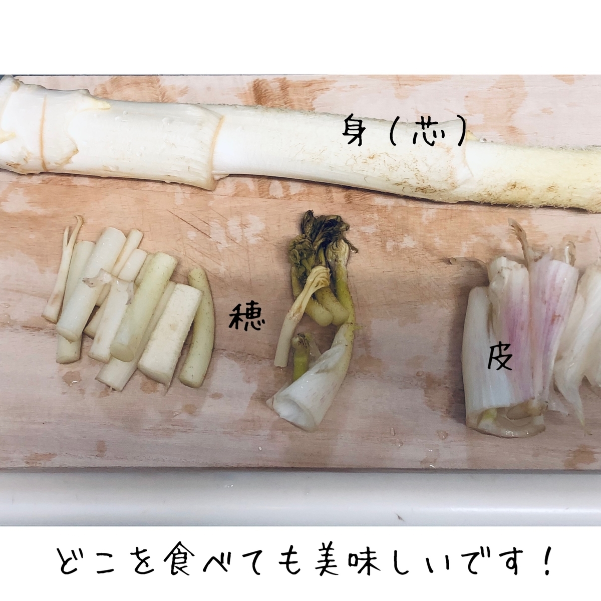 f:id:ema-s-life:20210320024716j:plain