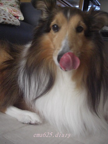 f:id:ema625:20181027155942j:plain