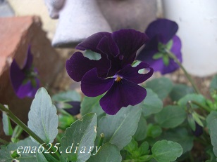 f:id:ema625:20181128105627j:plain f:id:ema625:20181128105627j:plain