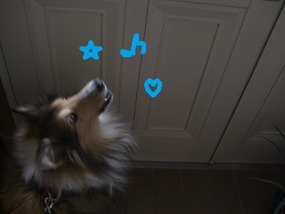 f:id:ema625:20190107151734j:plain f:id:ema625:20190107151734j:plain