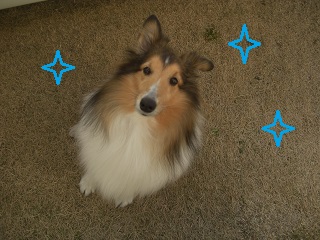 f:id:ema625:20190107153406j:plain f:id:ema625:20190107153406j:plain