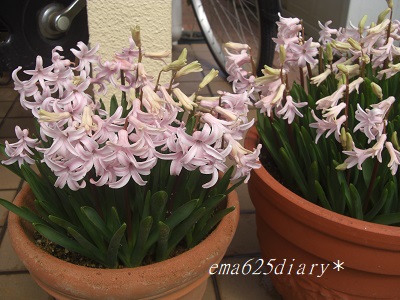 f:id:ema625:20190316121731j:plain