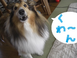f:id:ema625:20190324134216j:plain f:id:ema625:20190324134216j:plain