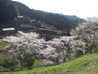 f:id:ema625:20190413150138j:plain