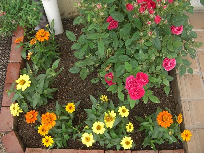 f:id:ema625:20190528094836j:plain f:id:ema625:20190528094836j:plain