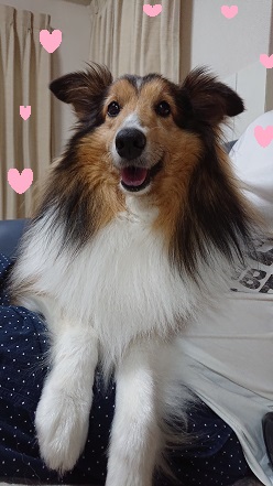 f:id:ema625:20190713074913j:plain
