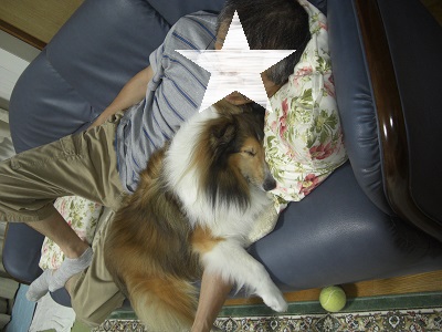 f:id:ema625:20190713075035j:plain