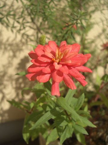f:id:ema625:20191017180151j:plain f:id:ema625:20191017180151j:plain