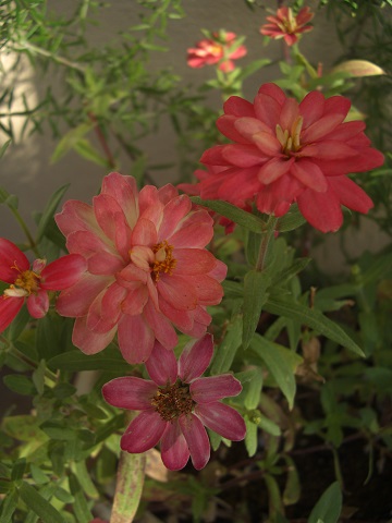 f:id:ema625:20191017180238j:plain f:id:ema625:20191017180238j:plain