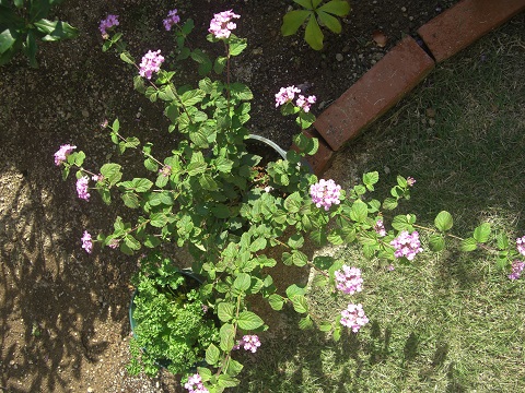 f:id:ema625:20191027133420j:plain f:id:ema625:20191027133420j:plain