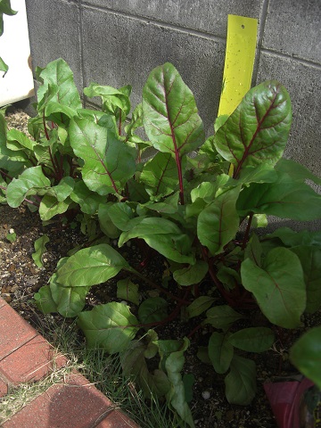f:id:ema625:20191027140437j:plain f:id:ema625:20191027140437j:plain