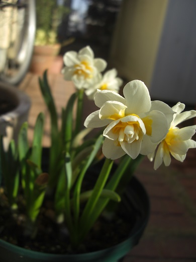 f:id:ema625:20200228093401j:plain
