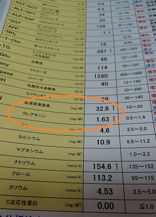 f:id:ema625:20200425124054j:plain f:id:ema625:20200425124054j:plain
