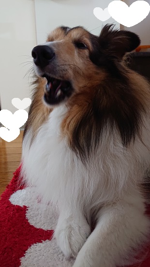 f:id:ema625:20201008114617j:plain