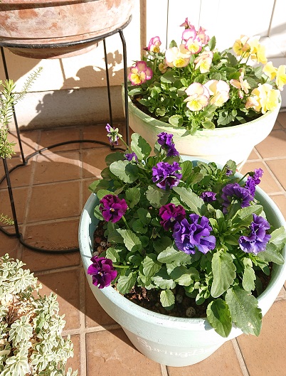 f:id:ema625:20201112111825j:plain f:id:ema625:20201112111825j:plain