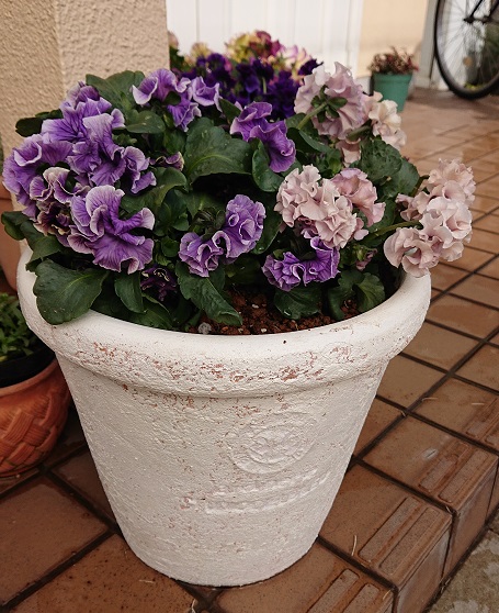 f:id:ema625:20210216145419j:plain