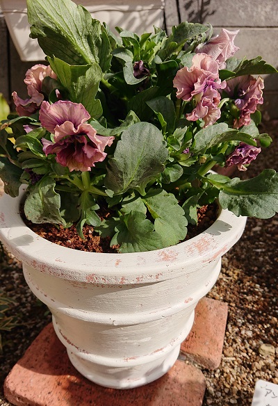 f:id:ema625:20210216145445j:plain