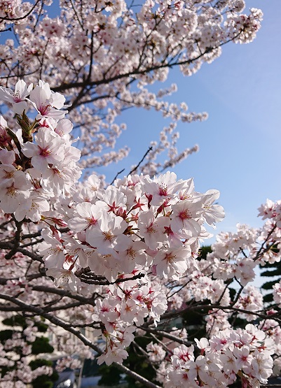 f:id:ema625:20210401111633j:plain