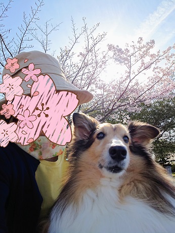 f:id:ema625:20210401114146j:plain