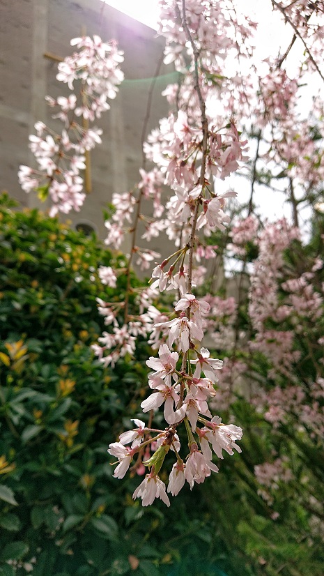 f:id:ema625:20210403230503j:plain
