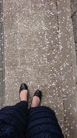 f:id:ema625:20210403230655j:plain
