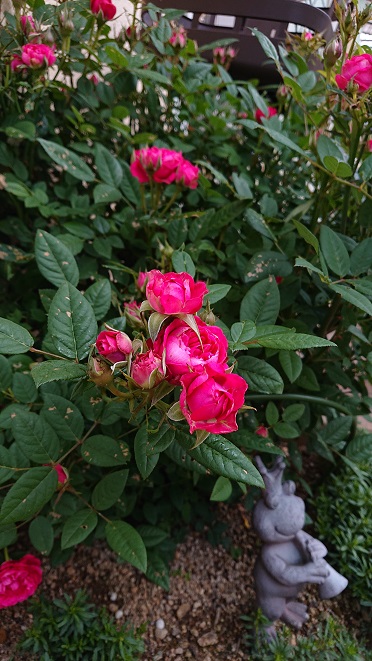 f:id:ema625:20210507110757j:plain