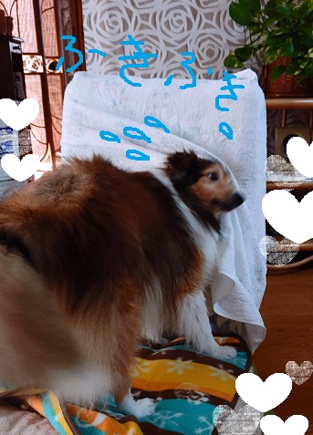 f:id:ema625:20210508133713j:plain