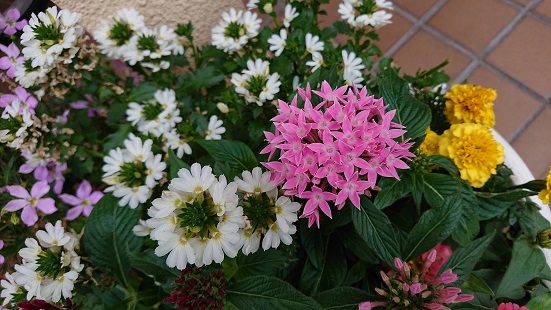 f:id:ema625:20210618093047j:plain