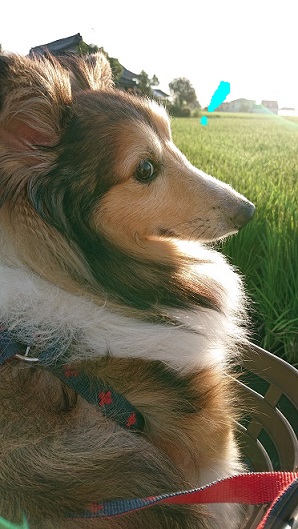 f:id:ema625:20210907120502j:plain
