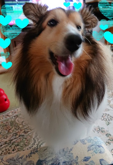 f:id:ema625:20210907121327j:plain