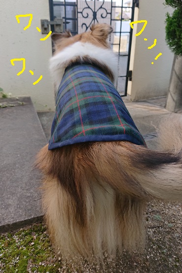 f:id:ema625:20211020102306j:plain