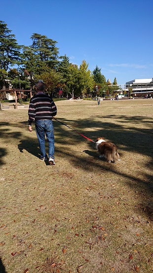 f:id:ema625:20211103151545j:plain