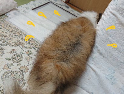 f:id:ema625:20211212153714j:plain