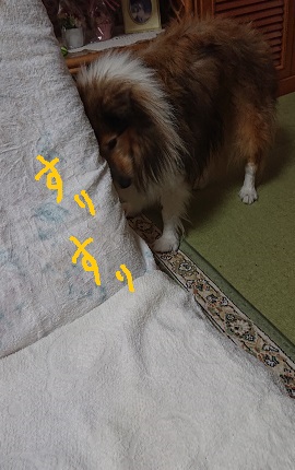 f:id:ema625:20211212153755j:plain