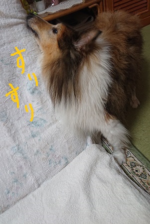 f:id:ema625:20211212153811j:plain