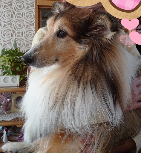 f:id:ema625:20220109115355j:plain