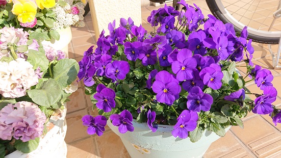f:id:ema625:20220127113111j:plain